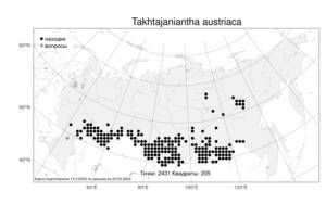 Takhtajaniantha austriaca (Willd.) Zaika, Sukhor. & N. Kilian, Атлас флоры России (FLORUS) (Россия)