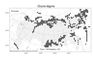 Oxyria digyna, Кисличник двустолбиковый (L.) Hill, Атлас флоры России (FLORUS) (Россия)