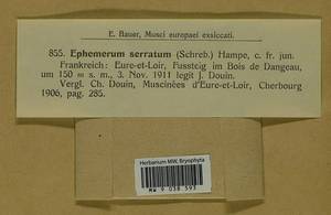 Ephemerum serratum (Schreb. ex Hedw.) Hampe, Гербарий мохообразных, Мхи - Западная Европа (BEu) (Франция)