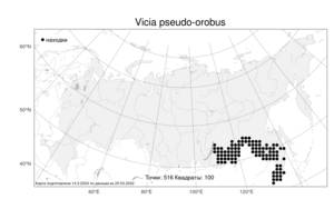 Vicia pseudo-orobus Fisch. & C.A.Mey., Атлас флоры России (FLORUS) (Россия)