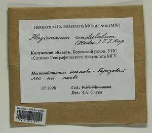 Plagiomnium undulatum (Hedw.) T.J. Kop., Гербарий мохообразных, Мхи - Центральное Нечерноземье (B6) (Россия)