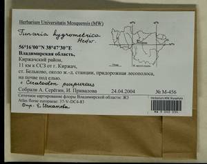 Funaria hygrometrica Hedw., Гербарий мохообразных, Мхи - Центральное Нечерноземье (B6) (Россия)