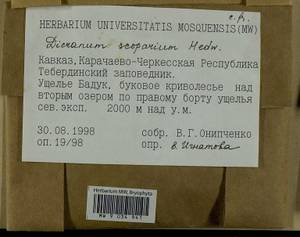 Dicranum scoparium Hedw., Гербарий мохообразных, Мхи - Северный Кавказ и Предкавказье (B12) (Россия)