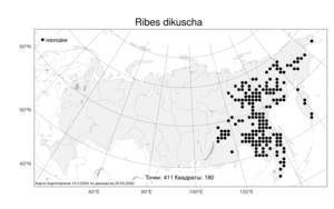 Ribes dikuscha, Смородина дикуша Fisch. ex Turcz., Атлас флоры России (FLORUS) (Россия)