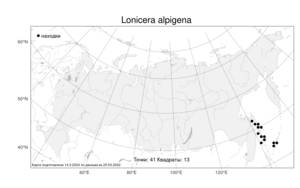 Lonicera alpigena, Жимолость альпийская L., Атлас флоры России (FLORUS) (Россия)