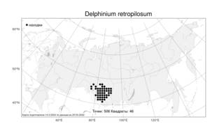 Delphinium retropilosum, Живокость шерстистая (Huth) Sambuk, Атлас флоры России (FLORUS) (Россия)
