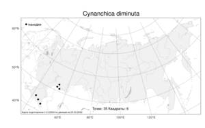 Cynanchica diminuta (Klokov) P.Caputo & Del Guacchio, Атлас флоры России (FLORUS) (Россия)
