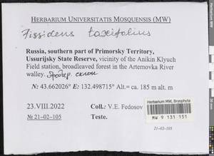 Fissidens taxifolius Hedw., Гербарий мохообразных, Мхи - Дальний Восток (без Чукотки и Камчатки) (B20) (Россия)