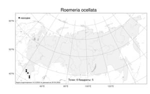 Roemeria ocellata, Атлас флоры России (FLORUS) (Россия)