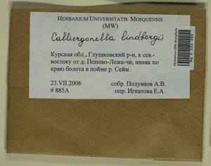 Calliergonella lindbergii (Mitt.) Hedenäs, Гербарий мохообразных, Мхи - Центральное Черноземье (B10) (Россия)