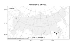 Hemarthria sibirica, Гемартрия сибирская (Gand.) Ohwi, Атлас флоры России (FLORUS) (Россия)
