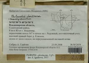 Brachythecium, Гербарий мохообразных, Мхи - Центральное Нечерноземье (B6) (Россия)