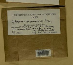 Sphagnum girgensohnii Russow, Гербарий мохообразных, Мхи - Среднее Поволжье (B9) (Россия)