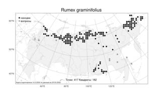 Rumex graminifolius, Щавель злаколистный Georgi ex Lamb., Атлас флоры России (FLORUS) (Россия)