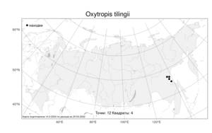 Oxytropis tilingii, Остролодочник Тилинга Bunge, Атлас флоры России (FLORUS) (Россия)