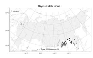Thymus dahuricus, Тимьян даурский, Чабрец даурский Serg., Атлас флоры России (FLORUS) (Россия)