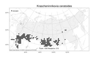 Krascheninnikovia ceratoides, Терескен хохолковый (L.) Gueldenst., Атлас флоры России (FLORUS) (Россия)