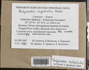 Didymodon calciphilus Ignatova & Ignatov, Гербарий мохообразных, Мхи - Северный Кавказ и Предкавказье (B12) (Россия)