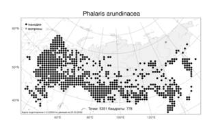 Phalaris arundinacea, Двукисточник тростниковидный L., Атлас флоры России (FLORUS) (Россия)