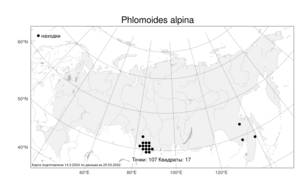 Phlomoides alpina, Зопничек альпийский (Pall.) Adylov, Kamelin & Makhm., Атлас флоры России (FLORUS) (Россия)