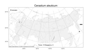 Cerastium aleuticum, Ясколка алеутская Hultén, Атлас флоры России (FLORUS) (Россия)