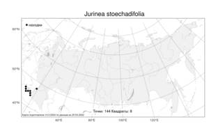 Jurinea stoechadifolia, Наголоватка лавандолистная (M. Bieb.) DC., Атлас флоры России (FLORUS) (Россия)