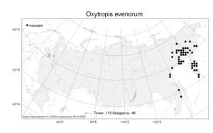 Oxytropis evenorum, Остролодочник эвенов Jurtzev & A.P.Khokhr., Атлас флоры России (FLORUS) (Россия)