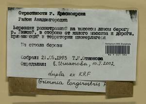Grimmia longirostris Hook., Гербарий мохообразных, Мхи - Красноярский край, Тыва и Хакасия (B17) (Россия)