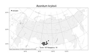 Aconitum krylovii, Борец Крылова Steinb., Атлас флоры России (FLORUS) (Россия)