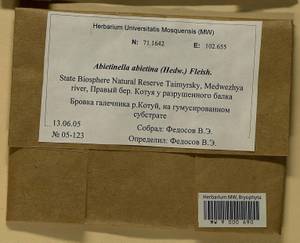 Abietinella abietina (Hedw.) M. Fleisch., Гербарий мохообразных, Мхи - Красноярский край, Тыва и Хакасия (B17) (Россия)