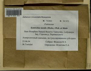 Syntrichia ruralis (Hedw.) F. Weber & D. Mohr, Гербарий мохообразных, Мхи - Красноярский край, Тыва и Хакасия (B17) (Россия)