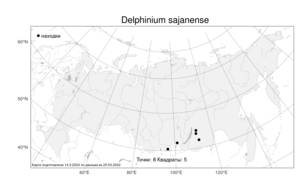 Delphinium sajanense, Живокость саянская Jurtzev, Атлас флоры России (FLORUS) (Россия)