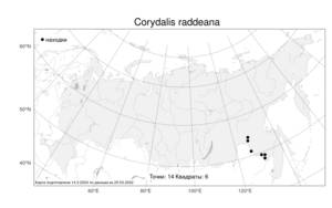 Corydalis raddeana, Хохлатка Радде Regel, Атлас флоры России (FLORUS) (Россия)