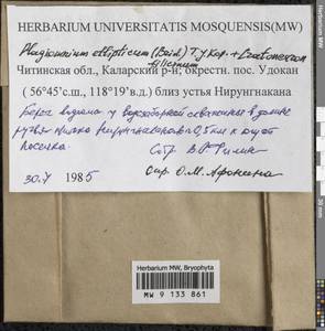 Plagiomnium ellipticum (Brid.) T.J. Kop., Гербарий мохообразных, Мхи - Прибайкалье и Забайкалье (B18) (Россия)