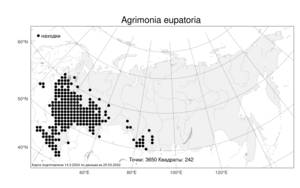Agrimonia eupatoria, Репешок обыкновенный L., Атлас флоры России (FLORUS) (Россия)