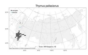 Thymus pallasianus, Тимьян Палласа, Чабрец Палласа Heinr.Braun, Атлас флоры России (FLORUS) (Россия)