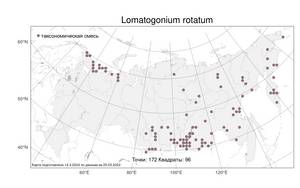 Lomatogonium rotatum, Ломатогониум колесовидный (L.) Fr. ex Fernald, Атлас флоры России (FLORUS) (Россия)