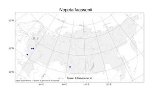 Nepeta faassenii Bergmans ex Stearn, Атлас флоры России (FLORUS) (Россия)