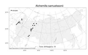 Alchemilla samuelssonii, Манжетка Самуэльсона Rothm. ex S. E. Fröhner, Атлас флоры России (FLORUS) (Россия)