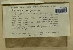 Polytrichum jensenii I. Hagen, Гербарий мохообразных, Мхи - Дальний Восток (без Чукотки и Камчатки) (B20) (Россия)