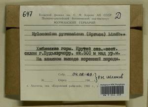 Hylocomiastrum pyrenaicum (Spruce) M. Fleisch. ex Broth., Гербарий мохообразных, Мхи - Карелия, Ленинградская и Мурманская области (B4) (Россия)