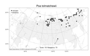 Poa tolmatchewii, Мятлик Толмачева Roshev., Атлас флоры России (FLORUS) (Россия)