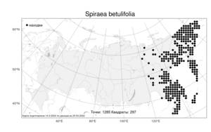 Spiraea betulifolia, Спирея березолистная, Таволга березолистная Pall., Атлас флоры России (FLORUS) (Россия)