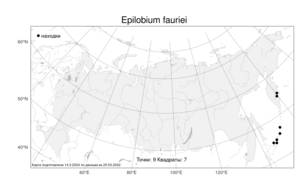 Epilobium fauriei, Кипрей Фори H. Lév., Атлас флоры России (FLORUS) (Россия)