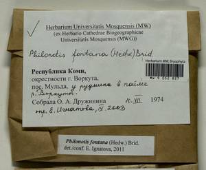 Philonotis fontana (Hedw.) Brid., Гербарий мохообразных, Мхи - Архангельская и Вологодская области, Коми, Ненецкий АО (B7) (Россия)