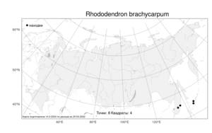 Rhododendron brachycarpum, Рододендрон короткоплодный D. Don ex G. Don, Атлас флоры России (FLORUS) (Россия)