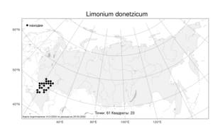 Limonium donetzicum, Кермек опушенный (Boiss.) Kuntze, Атлас флоры России (FLORUS) (Россия)