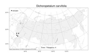 Dichoropetalum carvifolia, Дихоропеталум тминолистный (Vill.) Pimenov & Kljuykov, Атлас флоры России (FLORUS) (Россия)