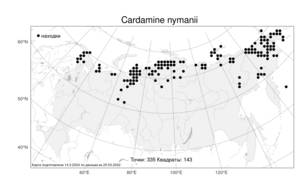 Cardamine nymanii, Сердечник Нимана Gand., Атлас флоры России (FLORUS) (Россия)