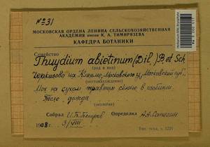 Abietinella abietina (Hedw.) M. Fleisch., Гербарий мохообразных, Мхи - Москва и Московская область (B6a) (Россия)